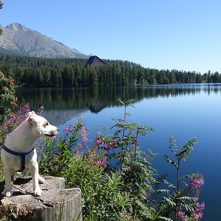 Panorama Rent Strbske Pleso Exterior foto